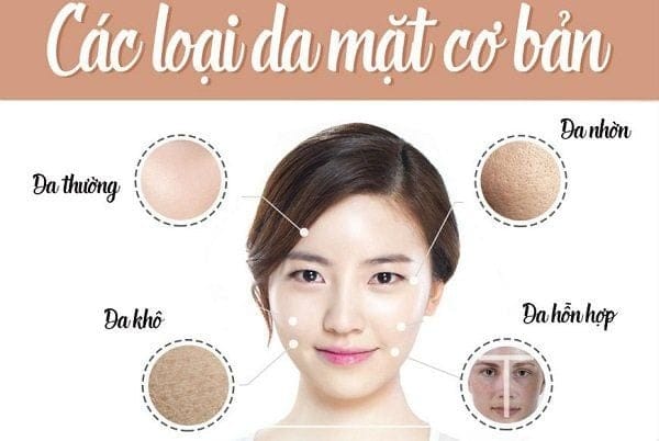 Da mặt có bao nhiêu loại?
