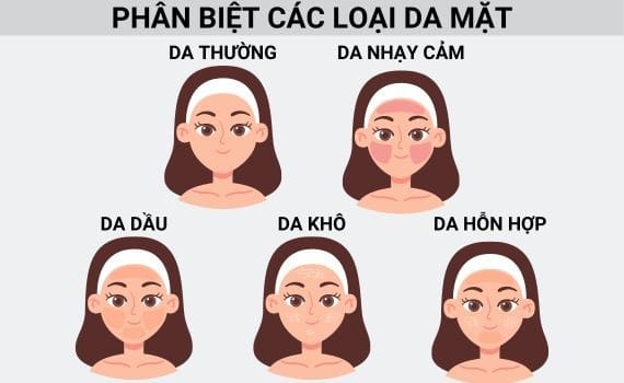 Yếu tố ảnh hưởng đến các loại da