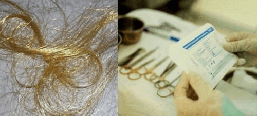 Gold Thread