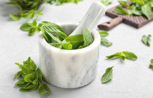 Cách trị mụn thâm lưng với lá bạc hà