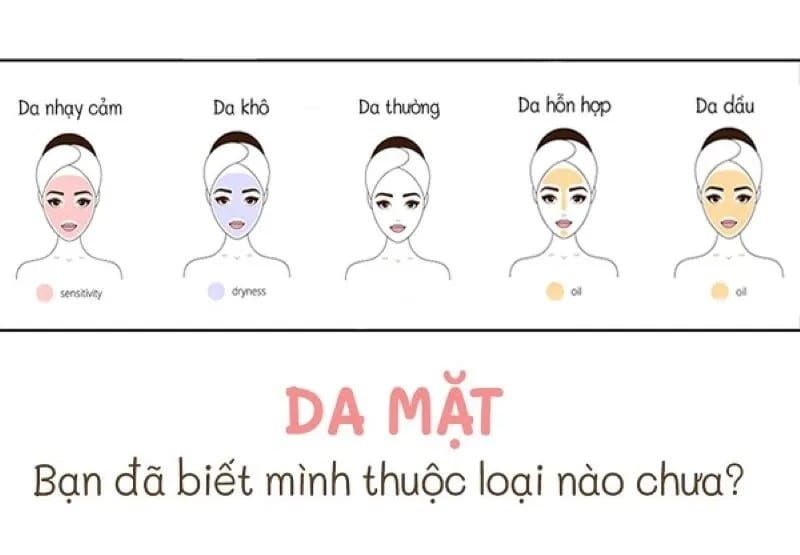 Có mấy loại da cơ bản