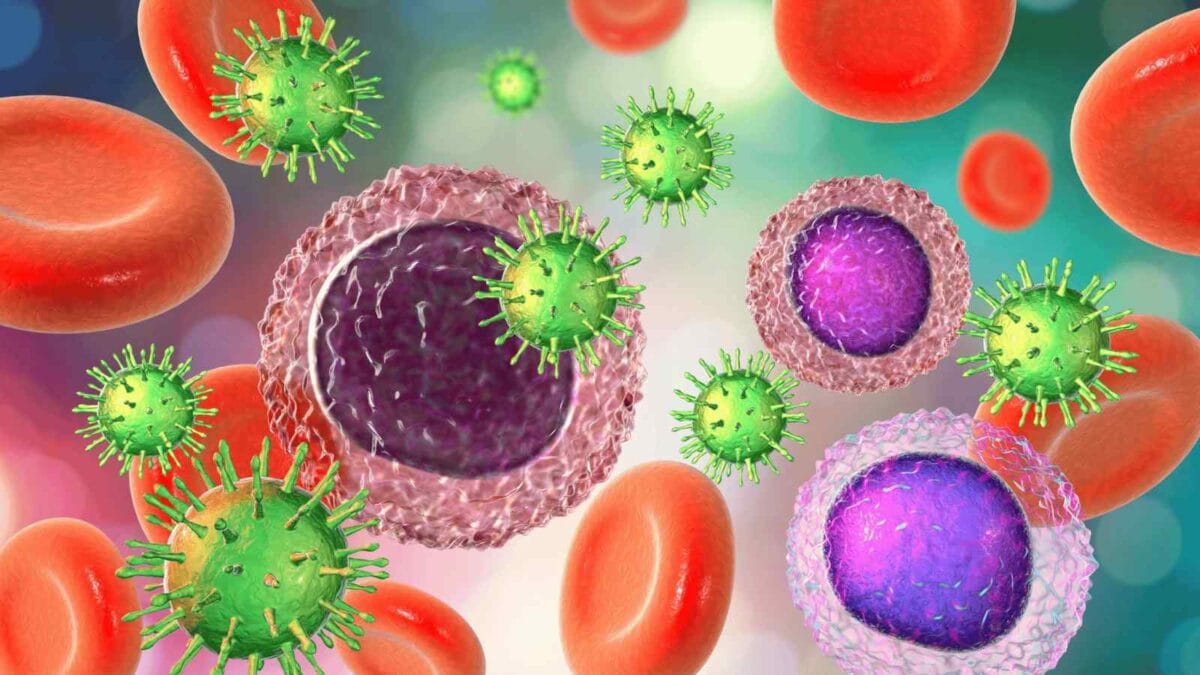 Hệ miễn dịch suy yếu hoặc phản ứng quá mức