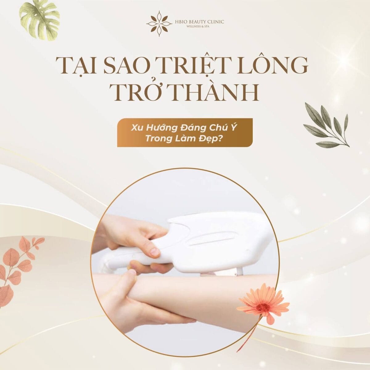 Tại sao nên triệt lông uy tín tại Hà Nội