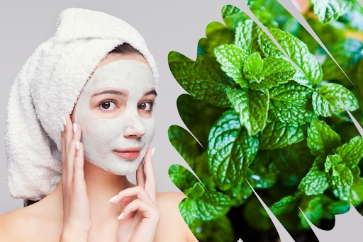 Lá bạc hà – bí quyết chăm sóc da mặt trắng mịn tự nhiên