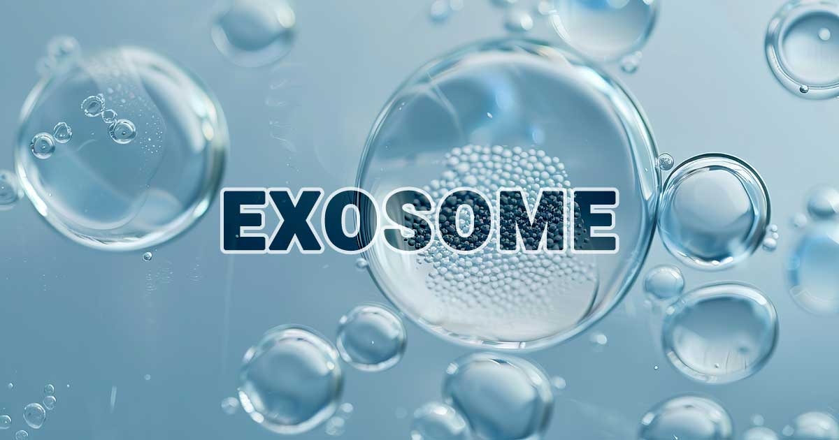 Exosome là những túi ngoại bào siêu nhỏ được tiết ra từ tế bào