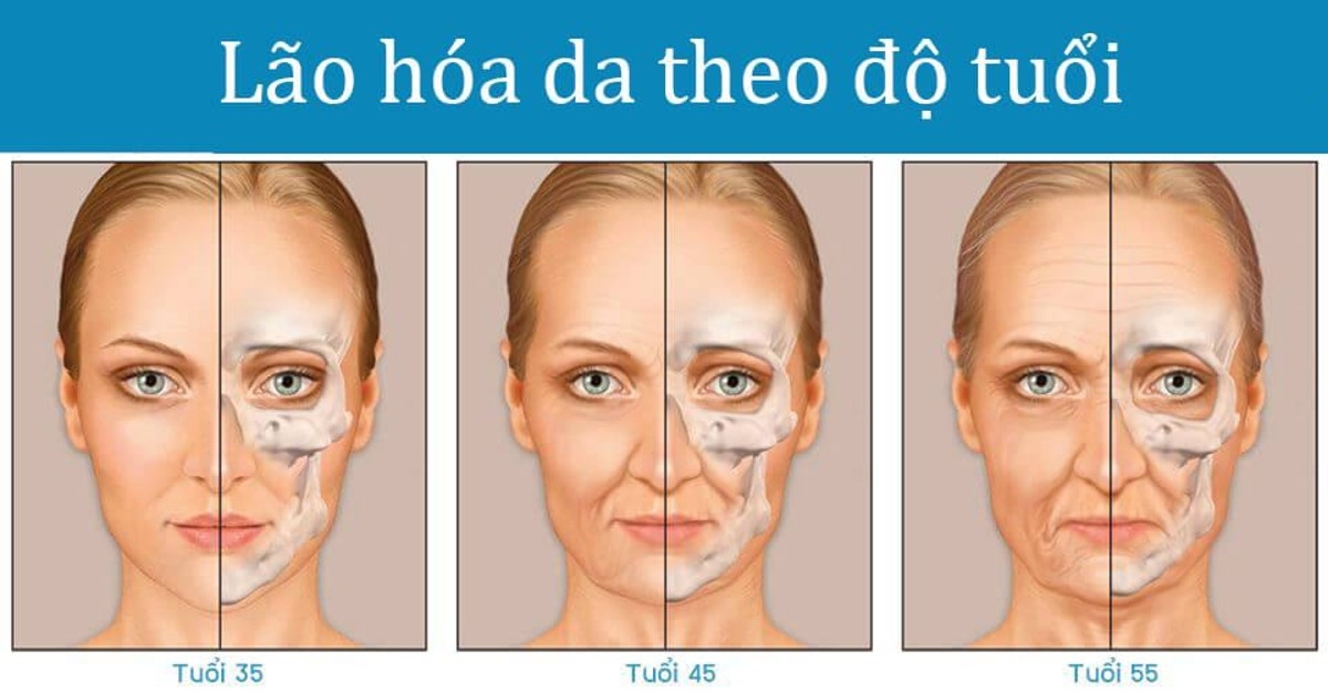 Lão hóa theo độ tuổi