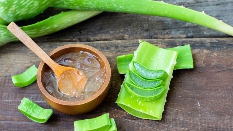 Trị sẹo sau thủy đậu bằng phương pháp từ thiên nhiên